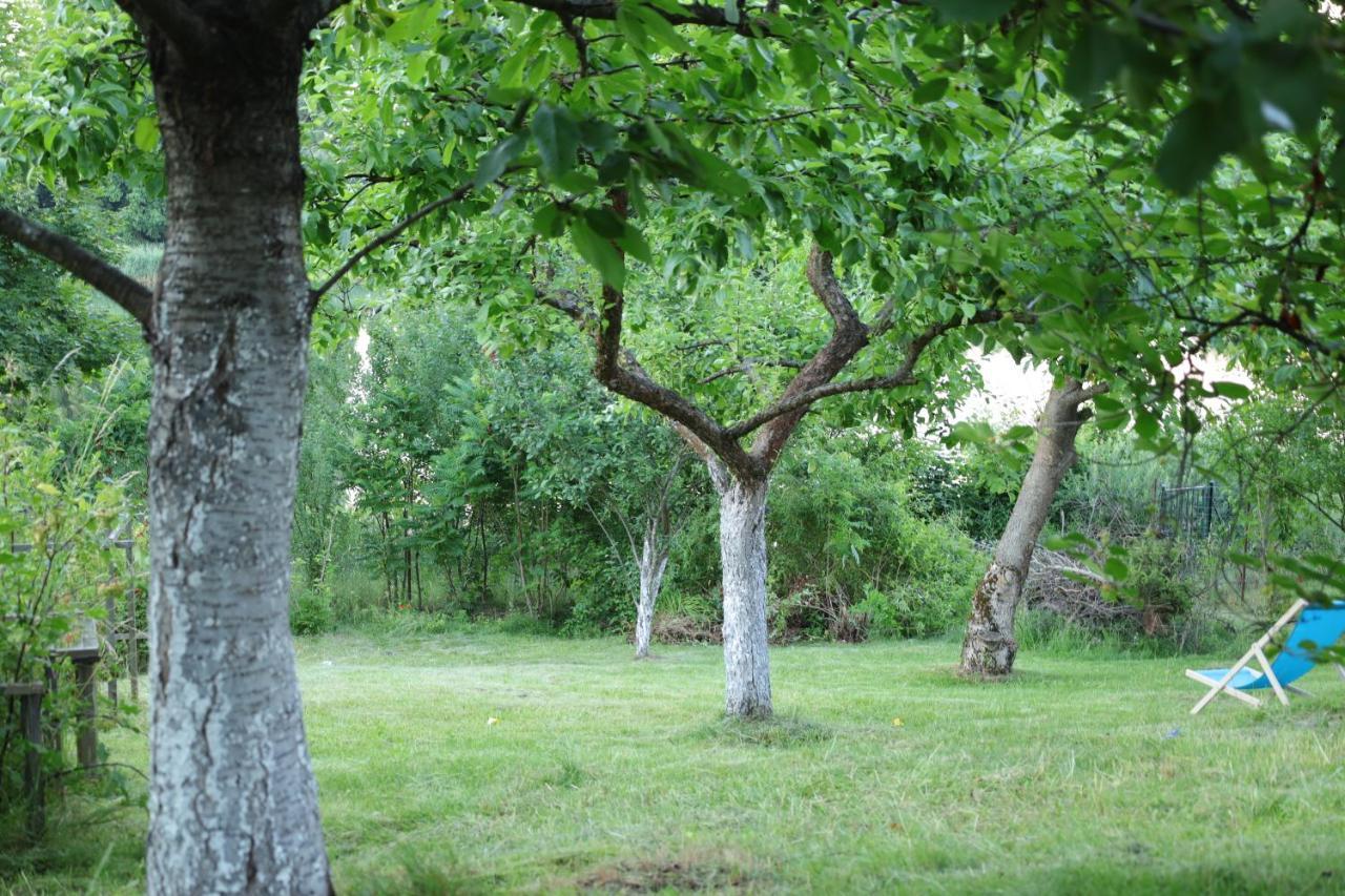 Lawendowe Pokoje Blisko Lasu - Mikolajki ภายนอก รูปภาพ